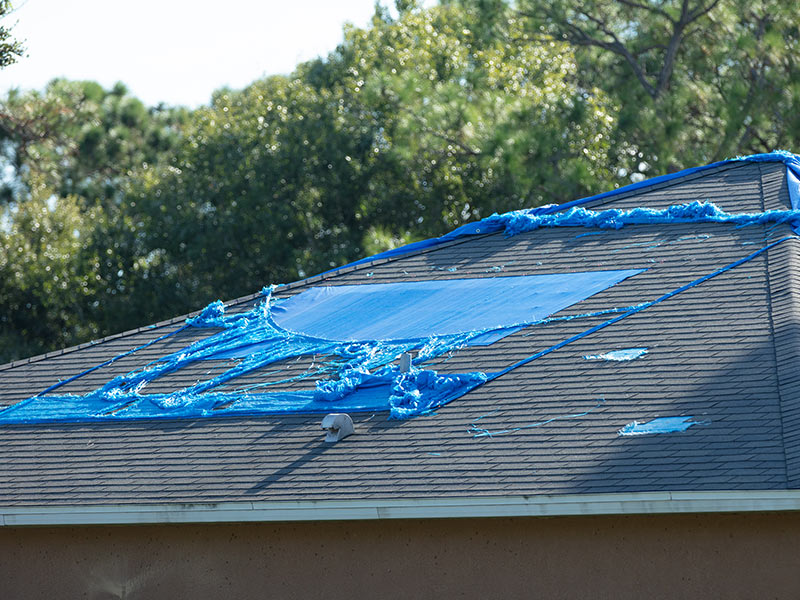 h1 storm damage roof restoration pelahatchie ms