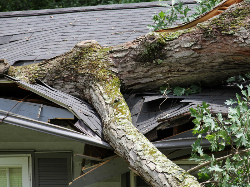 roof emergency service